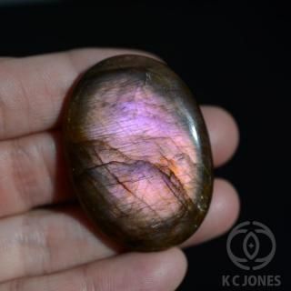 ��֥�ɥ饤�� ���ܥ���� 12g<img class='new_mark_img2' src='https://img.shop-pro.jp/img/new/icons1.gif' style='border:none;display:inline;margin:0px;padding:0px;width:auto;' />