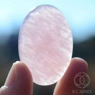 ��������������  ���ܥ����  11g