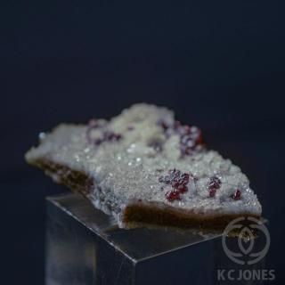 �����饤�ʻ���ä���ʥ��ʥС��˥�������  ���С�92g<img class='new_mark_img2' src='https://img.shop-pro.jp/img/new/icons1.gif' style='border:none;display:inline;margin:0px;padding:0px;width:auto;' />