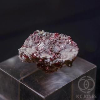 �����饤�ʻ���ä���ʥ��ʥС��˥�������  ���� 53g<img class='new_mark_img2' src='https://img.shop-pro.jp/img/new/icons1.gif' style='border:none;display:inline;margin:0px;padding:0px;width:auto;' />