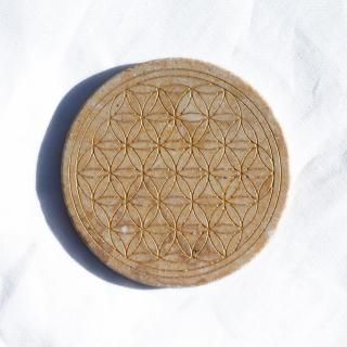 ���륵��ॹ�ȡ���  �ե����֥饤��   �ץ졼��<img class='new_mark_img2' src='https://img.shop-pro.jp/img/new/icons1.gif' style='border:none;display:inline;margin:0px;padding:0px;width:auto;' />