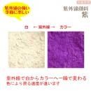 紫外線顔料 紫 (レジン着色顔料)