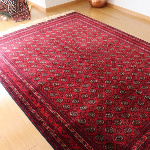 アフガン最高級絨毯 ホジャロシュナイ  208x154