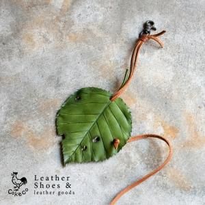 植物モチーフ - cokeco