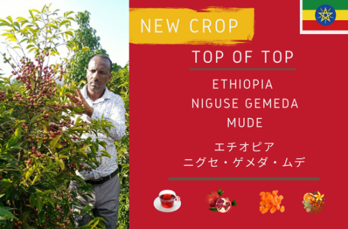  ETHIOPIA 
NIGUSE GEMEDA MUDE -エチオピア
ニグセ・ゲメダ・ムデ-　NEW CROP　150ｇ