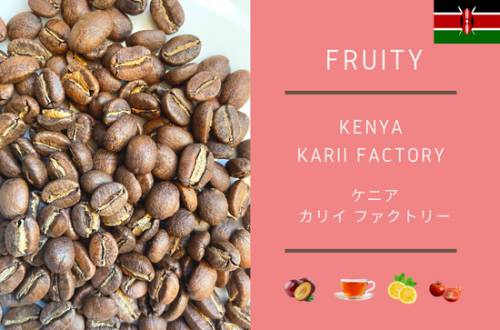 KENYA KARII FACTORY　-ケニア カリイ ファクトリー　300ｇ