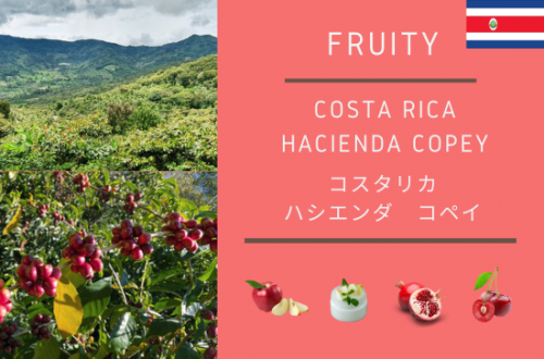COSTARICA HACIENDA COPEY -ꥫ ϥ ڥ- 150g