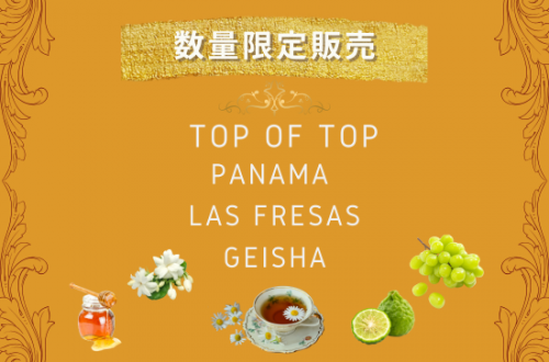  ڿ̸
  PANAMA LAS FRESAS GEISHA -ѥʥ 饹 ե쥵 -50g