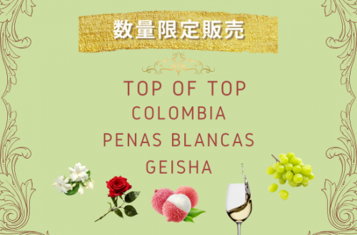  ڿ̸
  COLOMBIA PENAS BLANCAS GEISHA -ӥ ڥʥ ֥󥫥 -100g