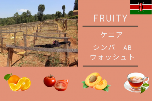 <img class='new_mark_img1' src='https://img.shop-pro.jp/img/new/icons5.gif' style='border:none;display:inline;margin:0px;padding:0px;width:auto;' />KENYA  SIMBA AB  -˥   AB-150