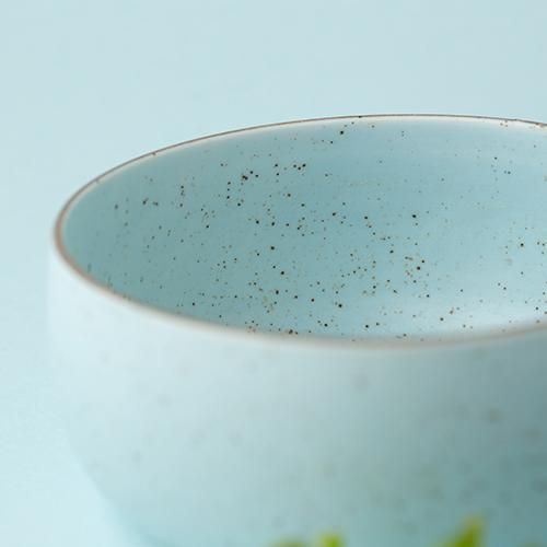 nashiji -morning- ボウル [L] チョコミント - 224porcelain
