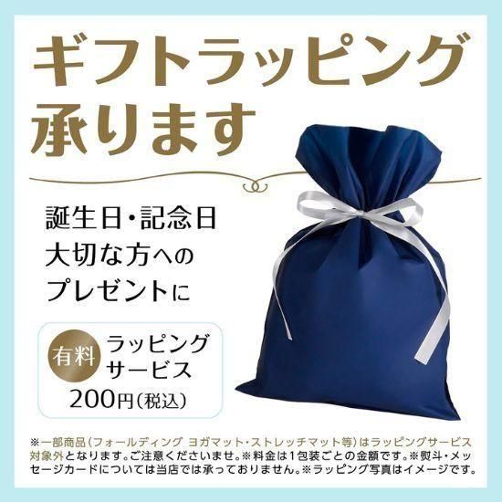 バックジョイ メディコアリリーフ PRO グレー ブラック BackJoy