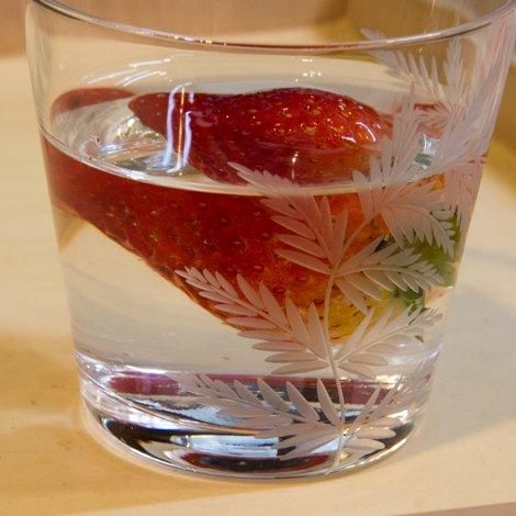 シダ切子 6オンスオールド - 廣田硝子 公式Online shop