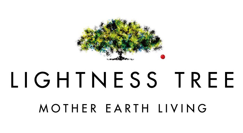 LIGHTNESS TREE | 饤ȥͥĥ꡼ŷССʪŹ 