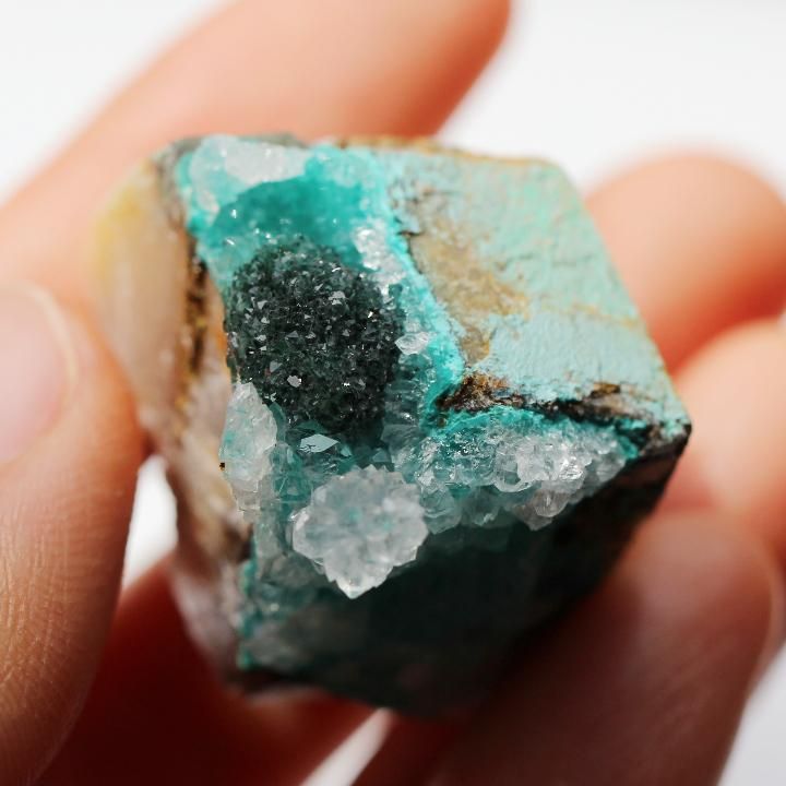 2016 SHINJUKU】クォーツonクリソコラwithブロシャンタイト