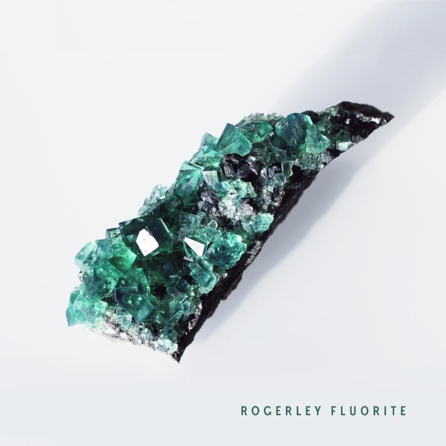 Fluorite ե饤ȡꥹRogerley