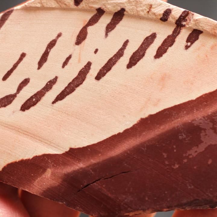 Zebra Stone ゼブラストーン／西オーストラリア・Kununarra産