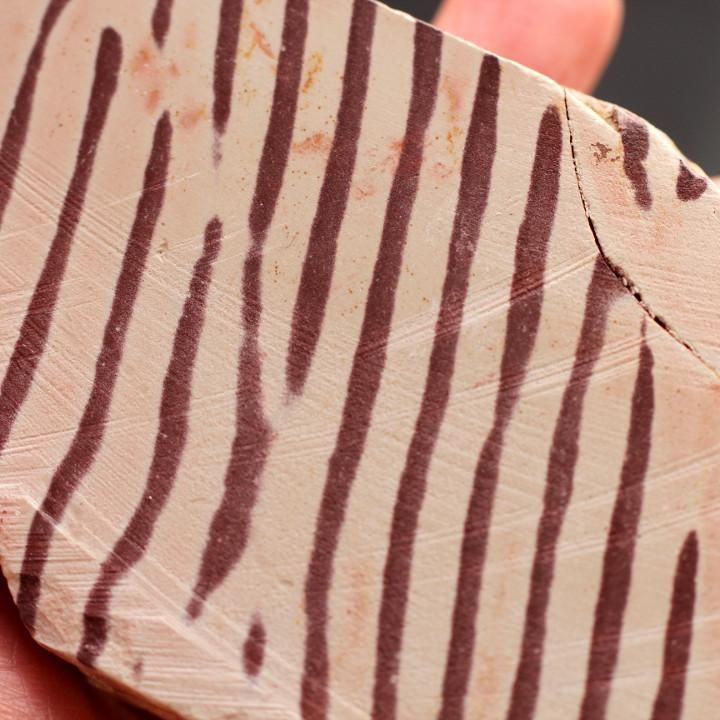 Zebra Stone ゼブラストーン／西オーストラリア・Kununarra産