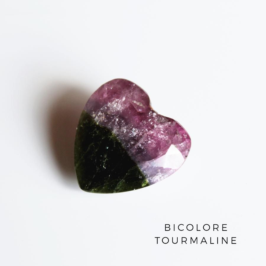 Bicolor Tourmalin Х顼ȥޥ󡦥ϡȥס֥饸뻺