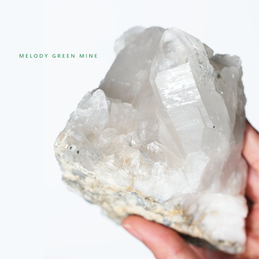 Melody Green Mine ǥ꡼ޥ MGM 緿