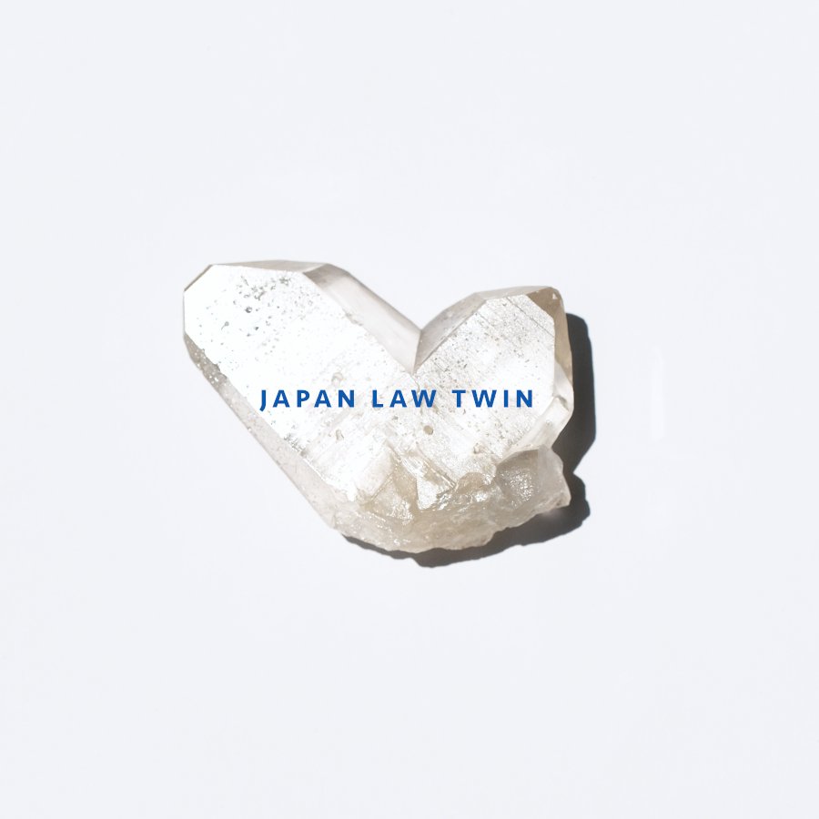 Japan Law Twin 日本式双晶 ジャパニーズツイン ／ワシントン産 - LIGHTNESS TREE /天然石 ・原石・クリスタルヒーリング・オンラインクリスタルショップ