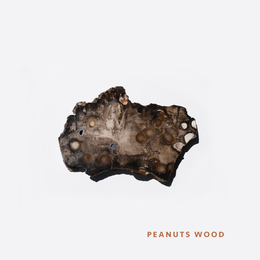 Peanuts Wood ԡʥåĥåɡȥꥢ