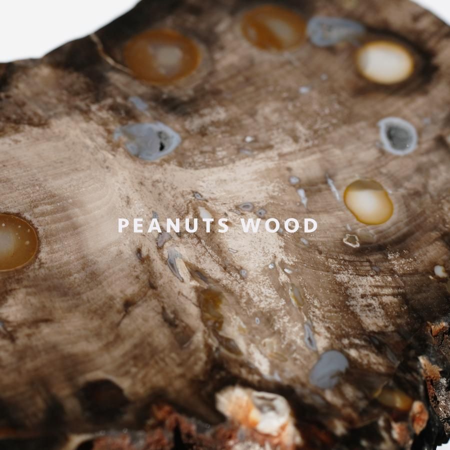 Peanuts Wood ԡʥåĥåɡȥꥢ