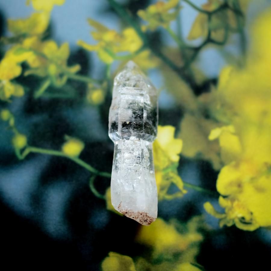 【特別価格】 フェアリーオブディクショナリーオブジェ(定価32000円) 1063004838757134_01_7786.jpeg