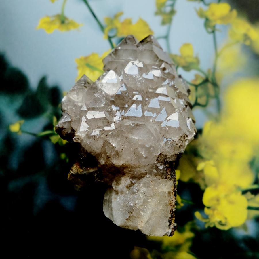 Fairy Scepter QUARTZ フェアリーセプター - LIGHTNESS TREE