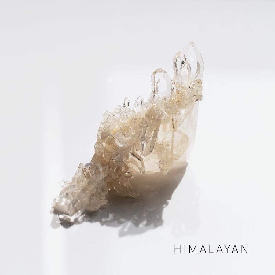 西オーストラリア　Milgun産　バリサイト　 鉱物　天然石　宝石原石 Variscite バリサイト／西オーストラリア産 - LIGHTNESS TREE