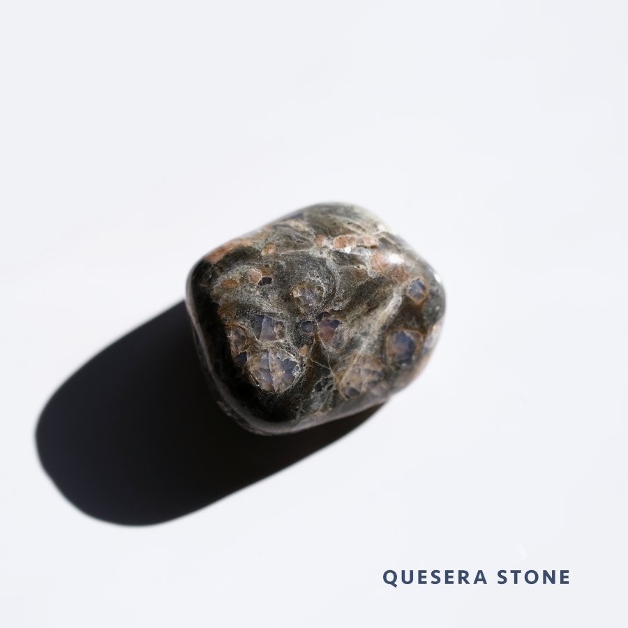 QueSera Stone 饹ȡ ֥ D֥饸 Х