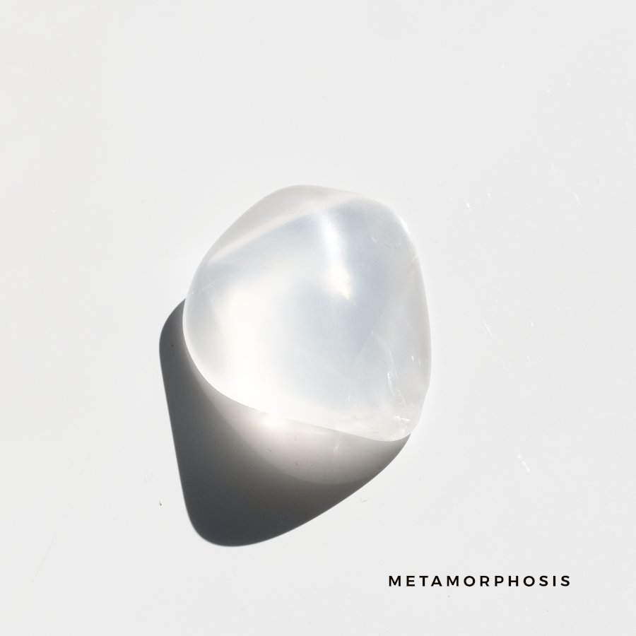 Metamorphosis QUARTZ メタモルフォーシス - LIGHTNESS TREE