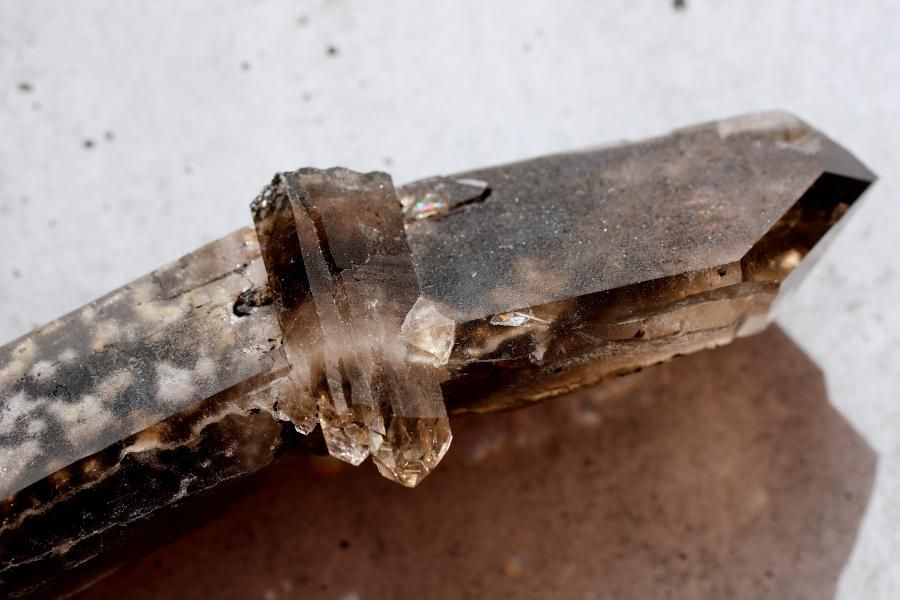 Smoky Quartz スモーキークォーツ／Malawi - LIGHTNESS TREE