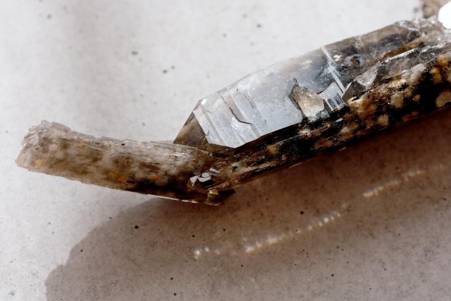 Smoky Quartz スモーキークォーツ／Malawi - LIGHTNESS TREE
