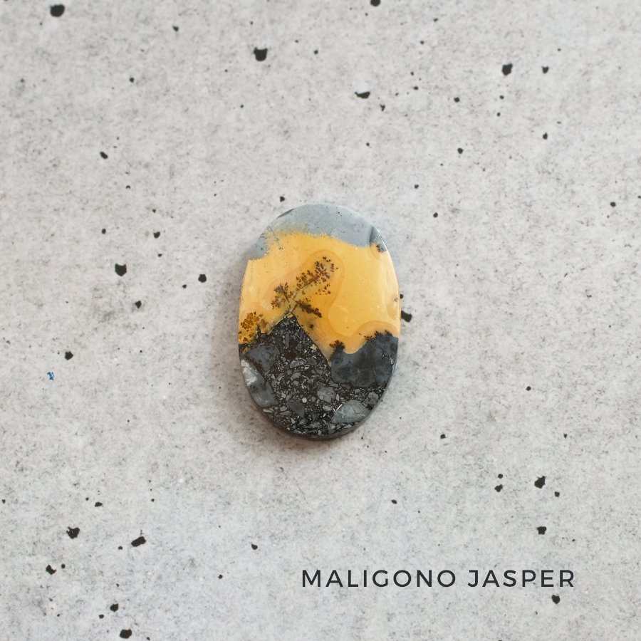 Maligano Jasper ޥꥬΥ㥹ѡɥͥ