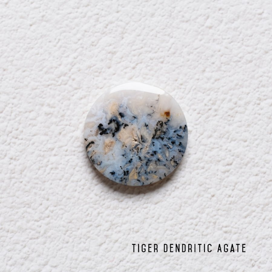 Tiger Dendritic Agate ǥɥƥåȡɥͥ