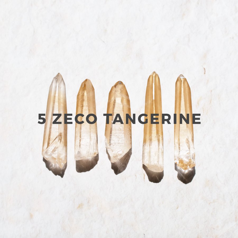 5 Zeco Tangerine Point set 󥸥󥯥ġåȡ֥饸롦ߥʥ饤