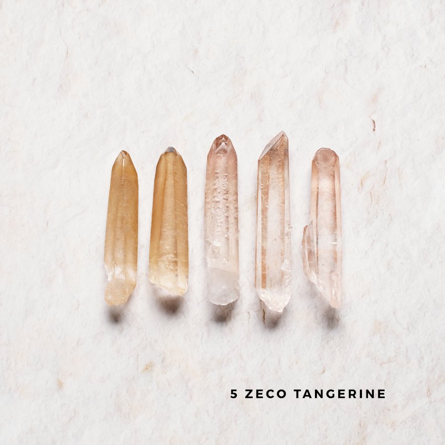 5 Zeco Tangerine Point set 󥸥󥯥ġåȡ֥饸롦ߥʥ饤