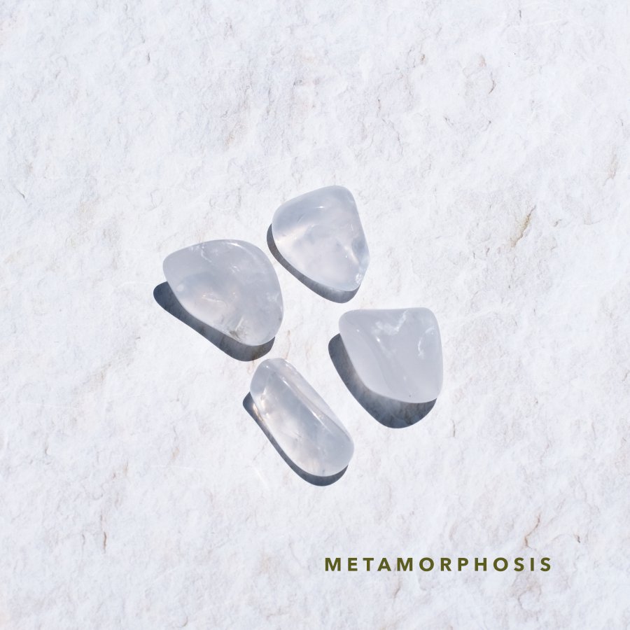 Metamorphosis QUARTZ メタモルフォーシス - LIGHTNESS TREE