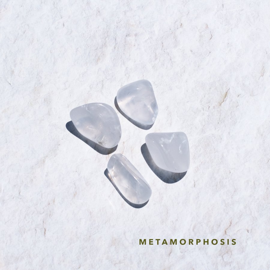 Metamorphosis ᥿ե ֥ A to D֥饸롦ߥʥ饤