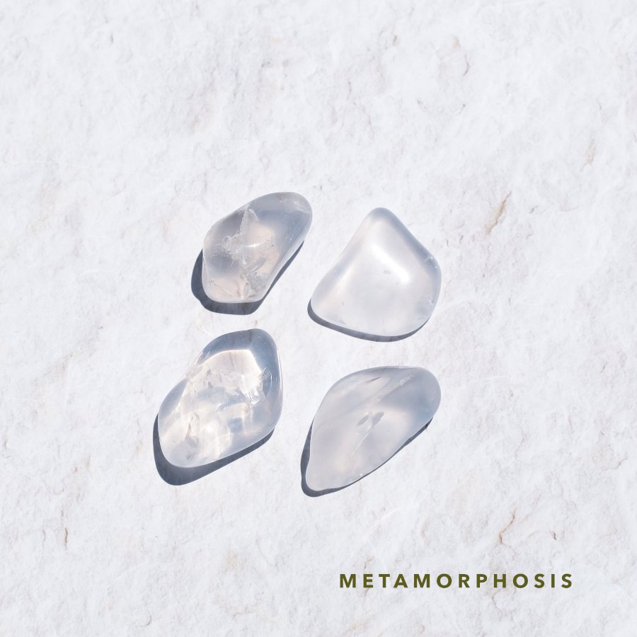 Metamorphosis QUARTZ メタモルフォーシス - LIGHTNESS TREE