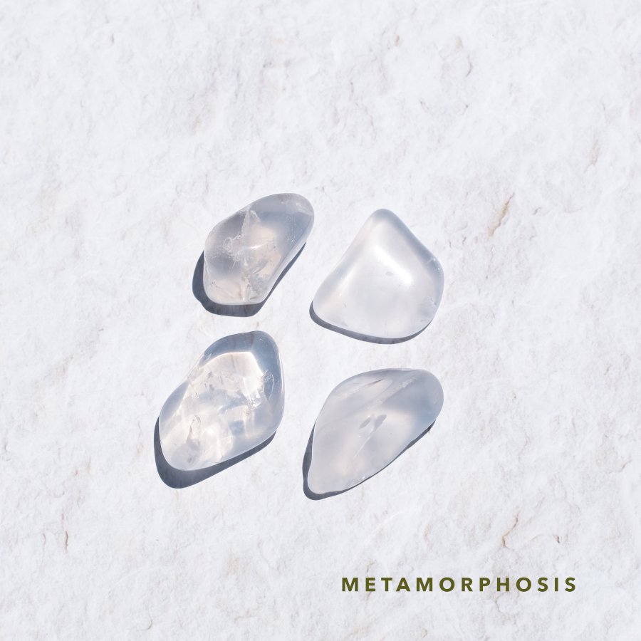 Metamorphosis ᥿ե ֥ E to H֥饸롦ߥʥ饤