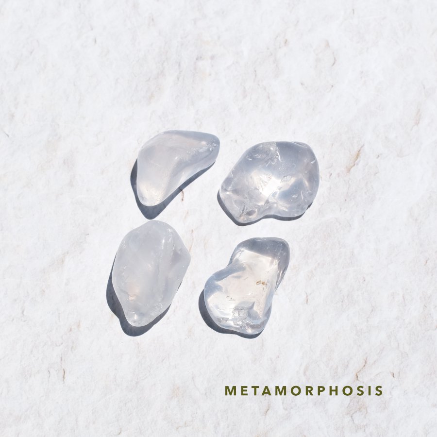 Metamorphosis QUARTZ メタモルフォーシス - LIGHTNESS TREE