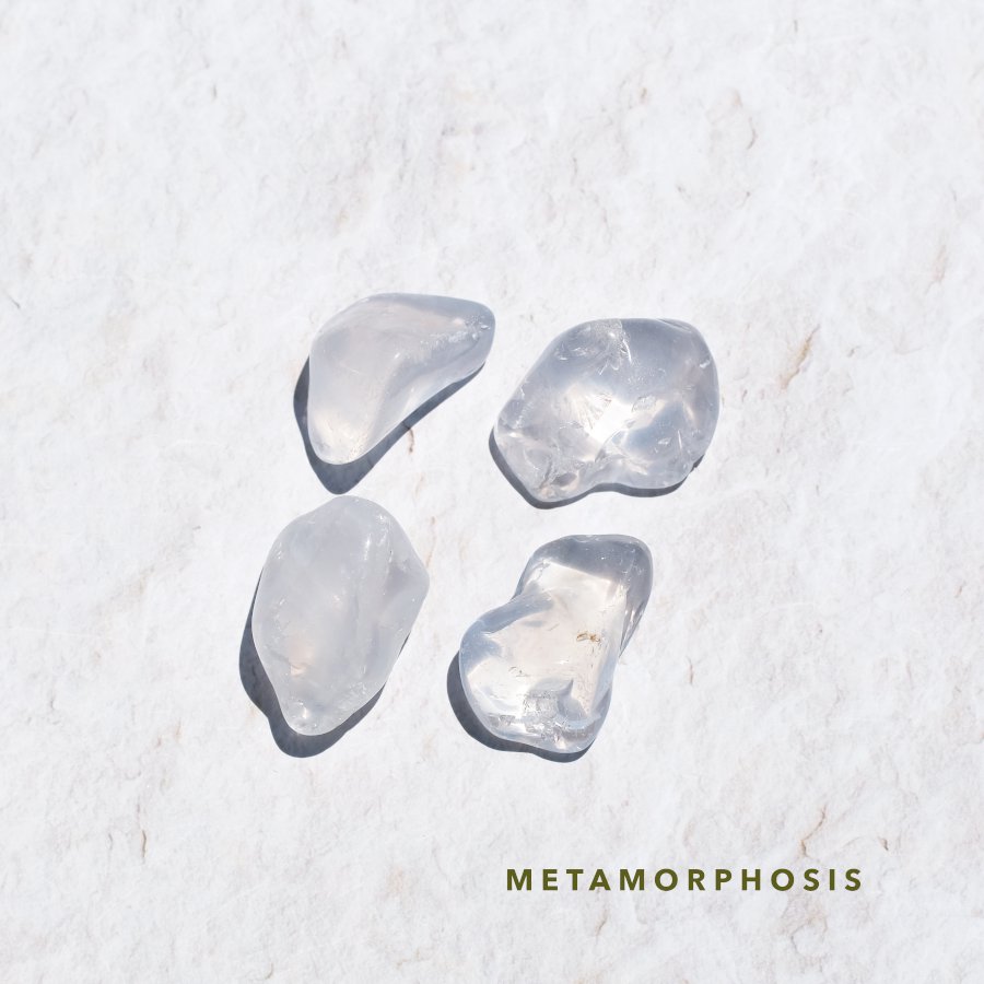 Metamorphosis ᥿ե ֥ I to L֥饸롦ߥʥ饤