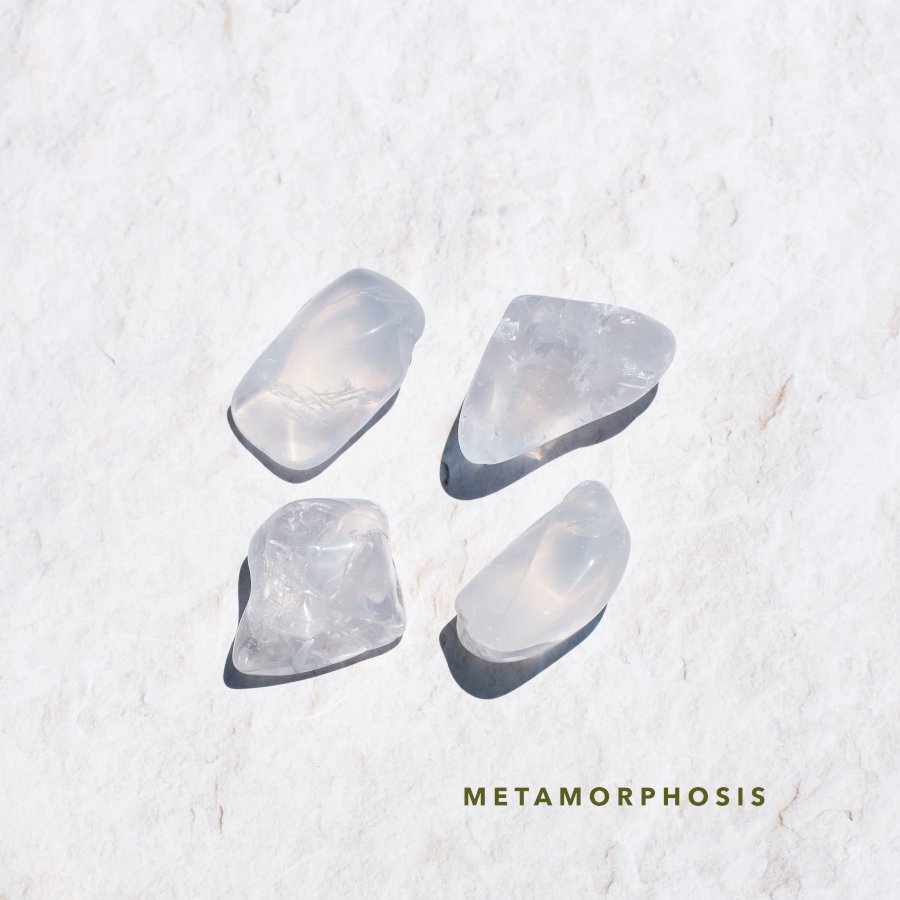 Metamorphosis QUARTZ メタモルフォーシス - LIGHTNESS TREE