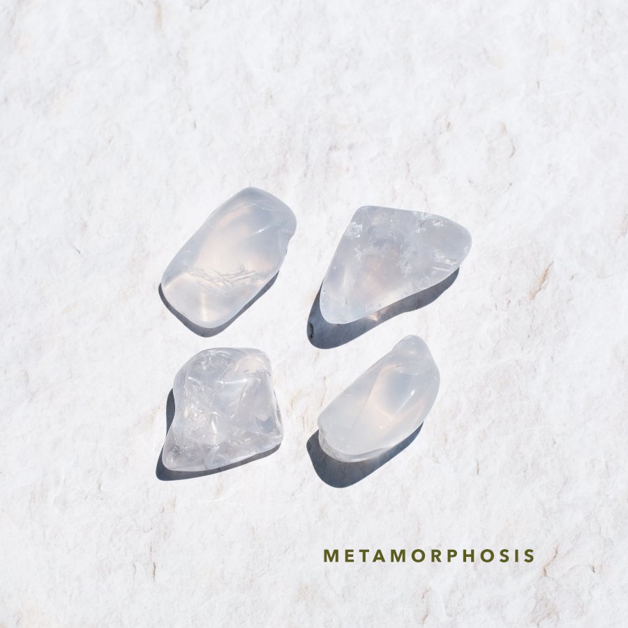 Metamorphosis ᥿ե ֥ M to P֥饸롦ߥʥ饤