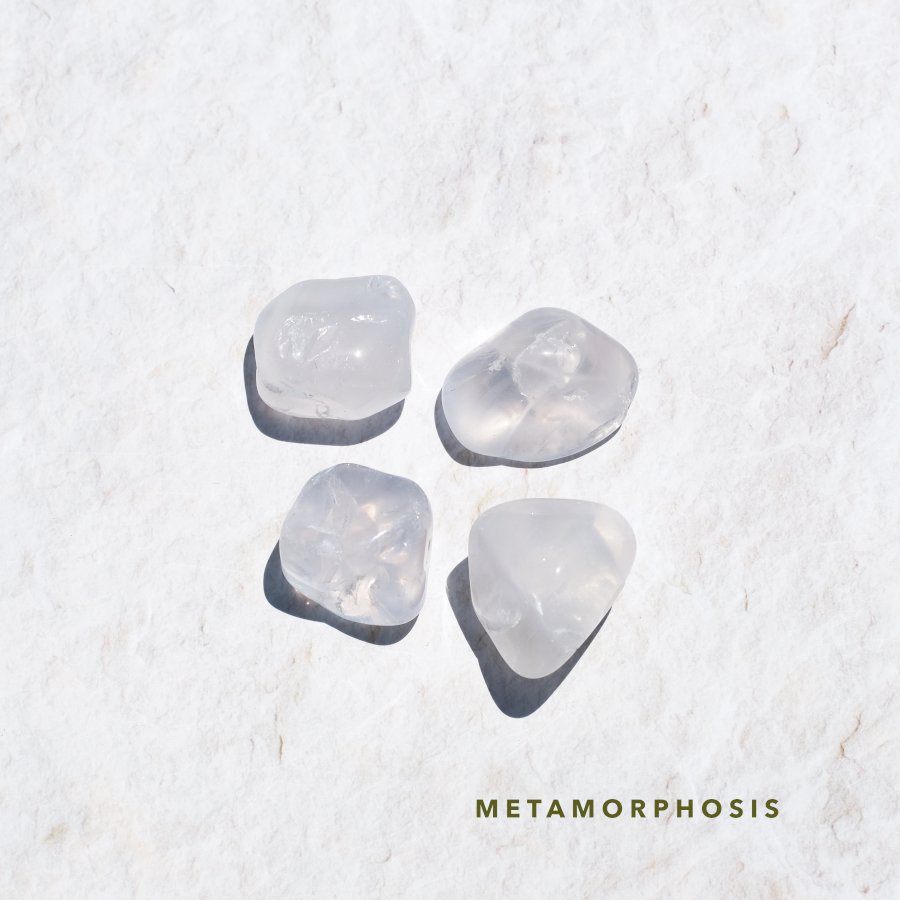 Metamorphosis QUARTZ メタモルフォーシス - LIGHTNESS TREE