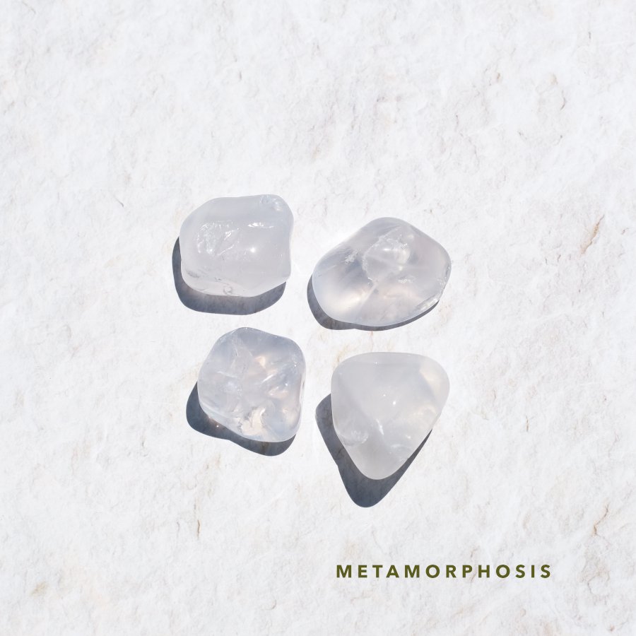 Metamorphosis ᥿ե ֥ V to Y֥饸롦ߥʥ饤