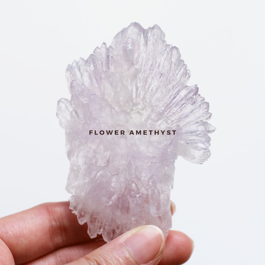 Flower Amethyst ե᥷ȡ֥饸롦ߥʥ饤