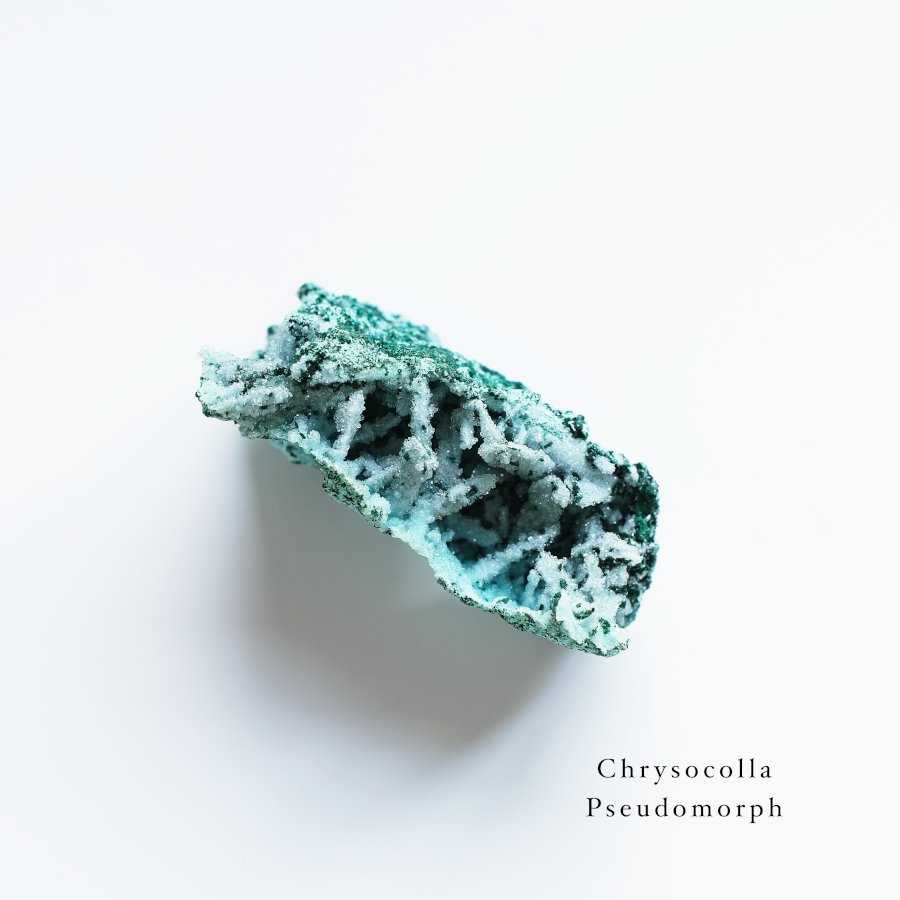 Chrysocolla pseudomorph with Malachite, Quartz ꥽顦ɥ⡼󥴻